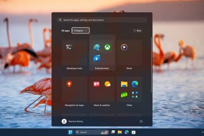 Windows 11 Category